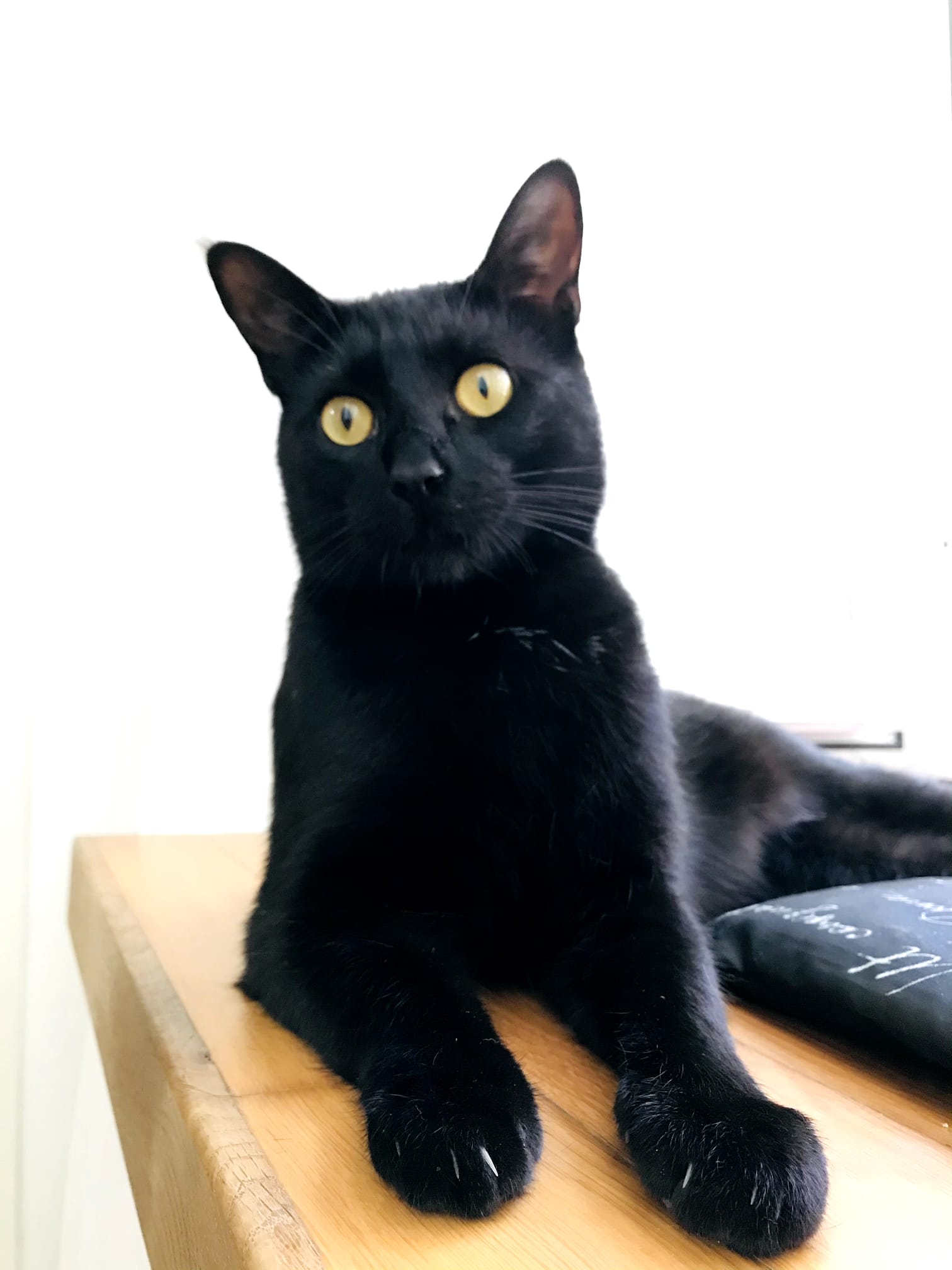 loki