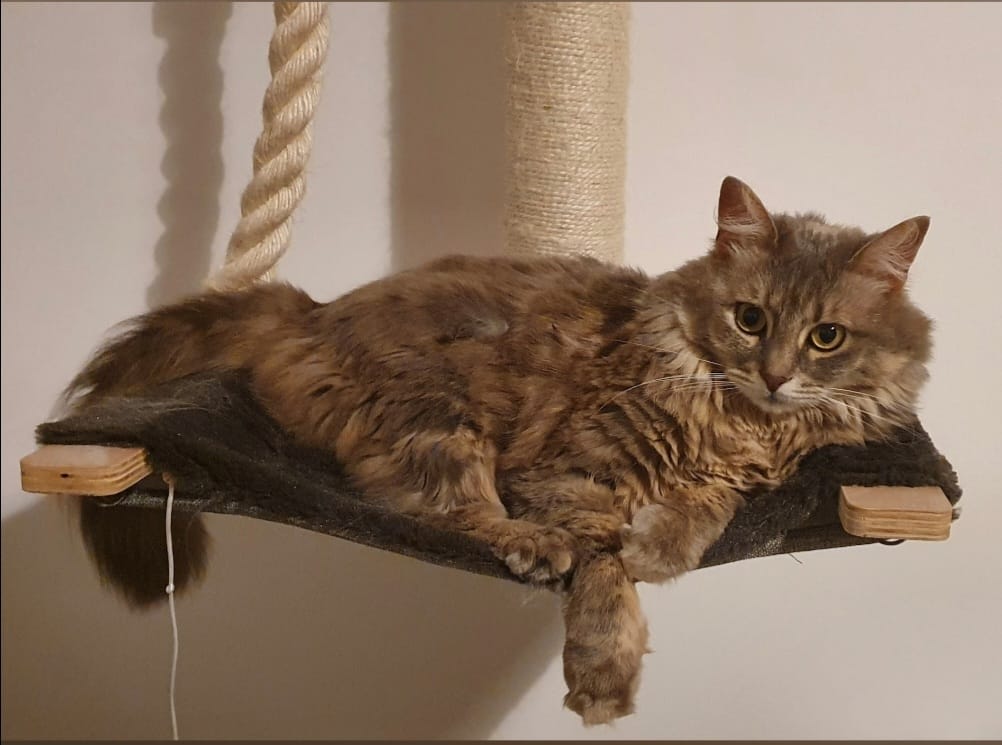 Chloe