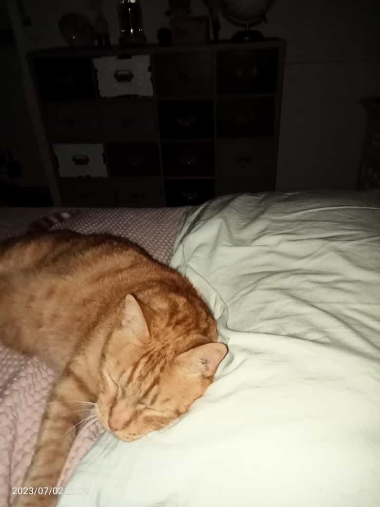 George