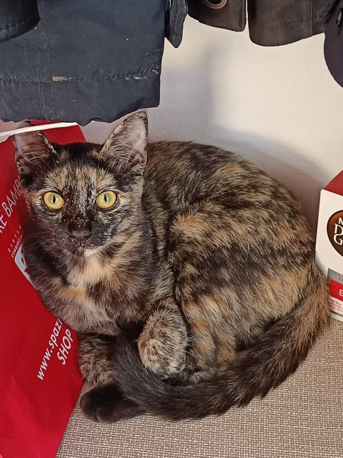 Nala