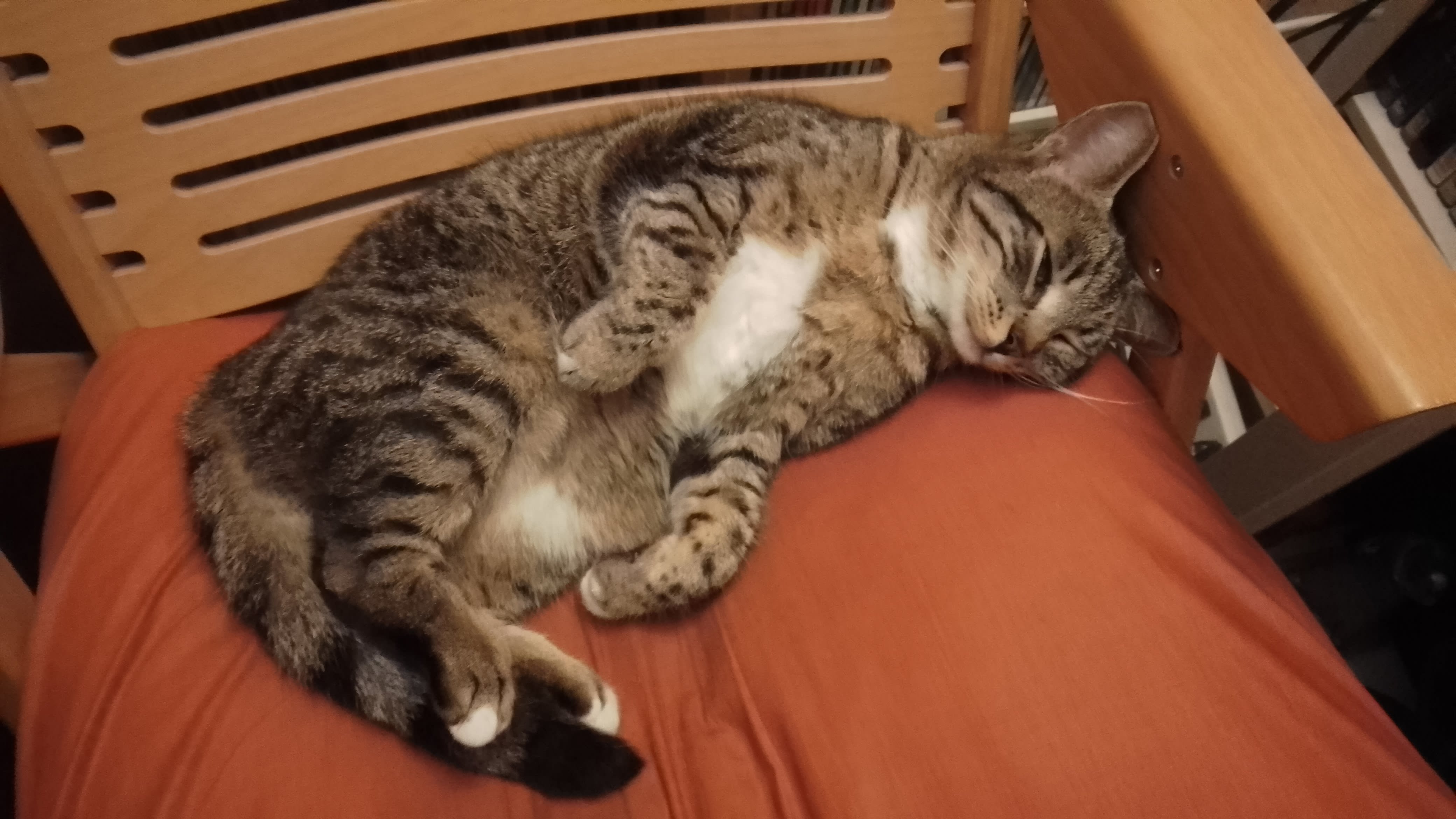 Mimi