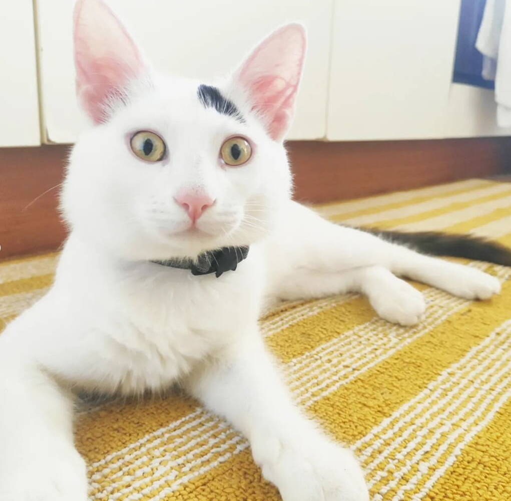 FENNY