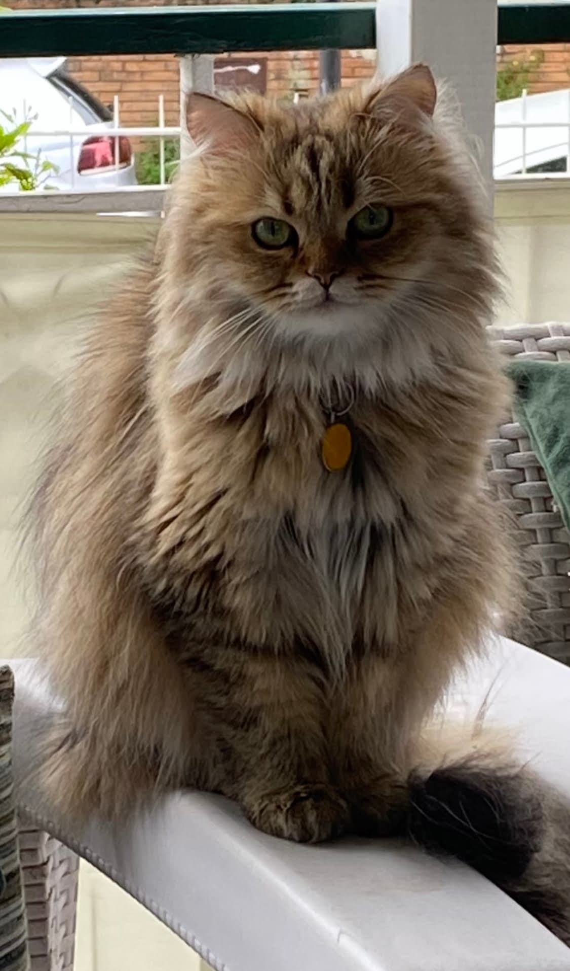 Penelope