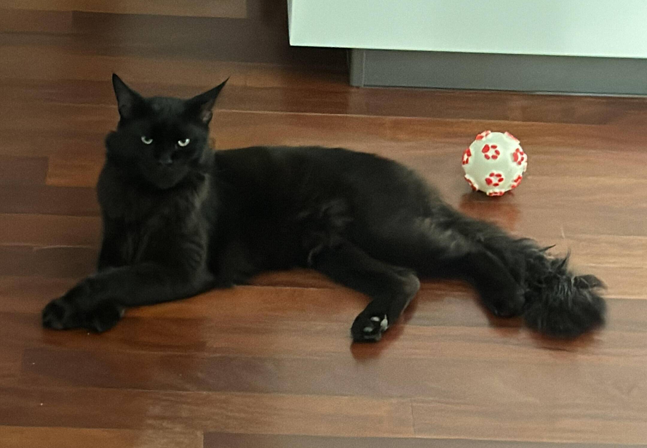 Benito