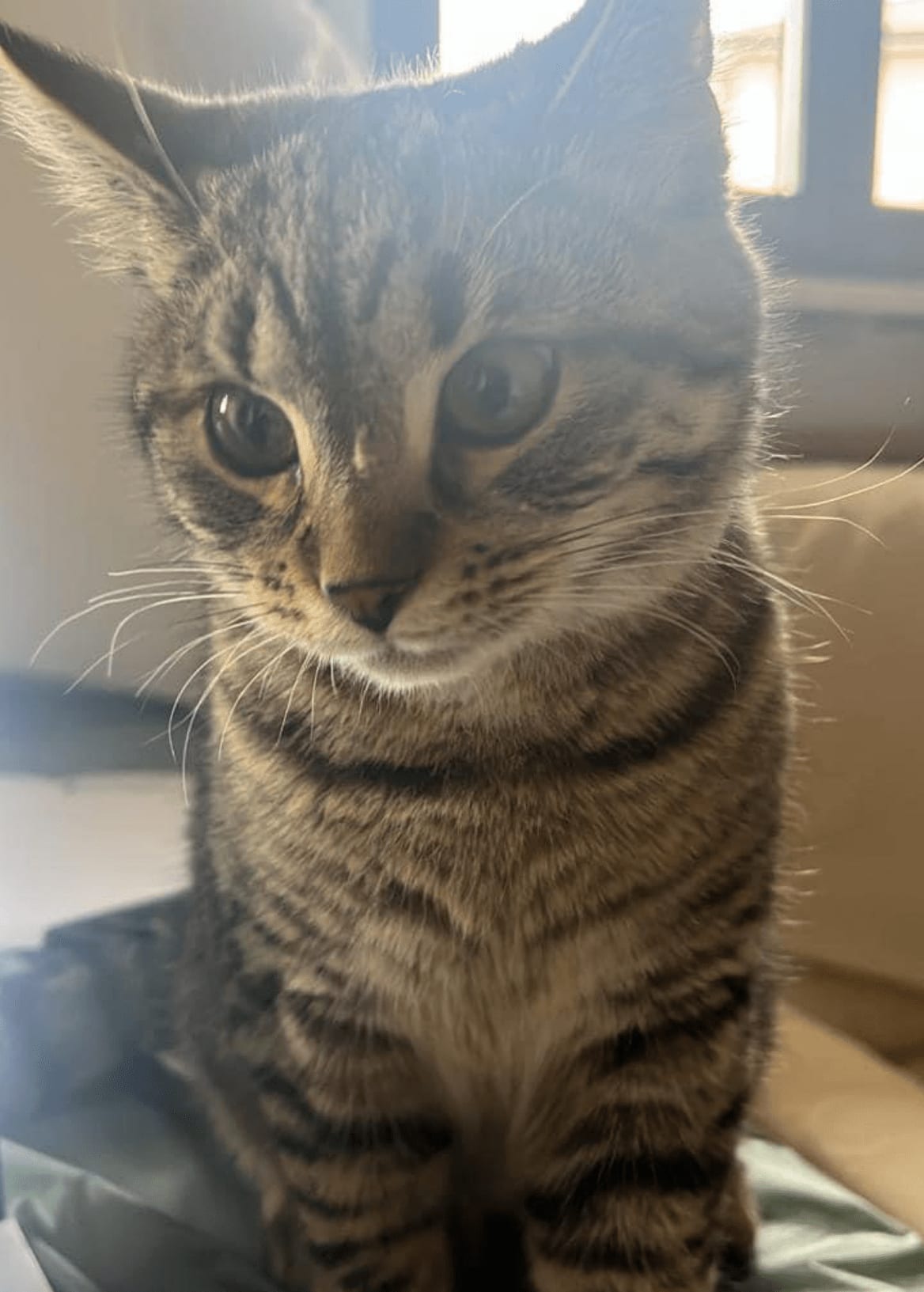 Minush