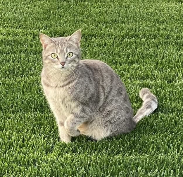 Sophie