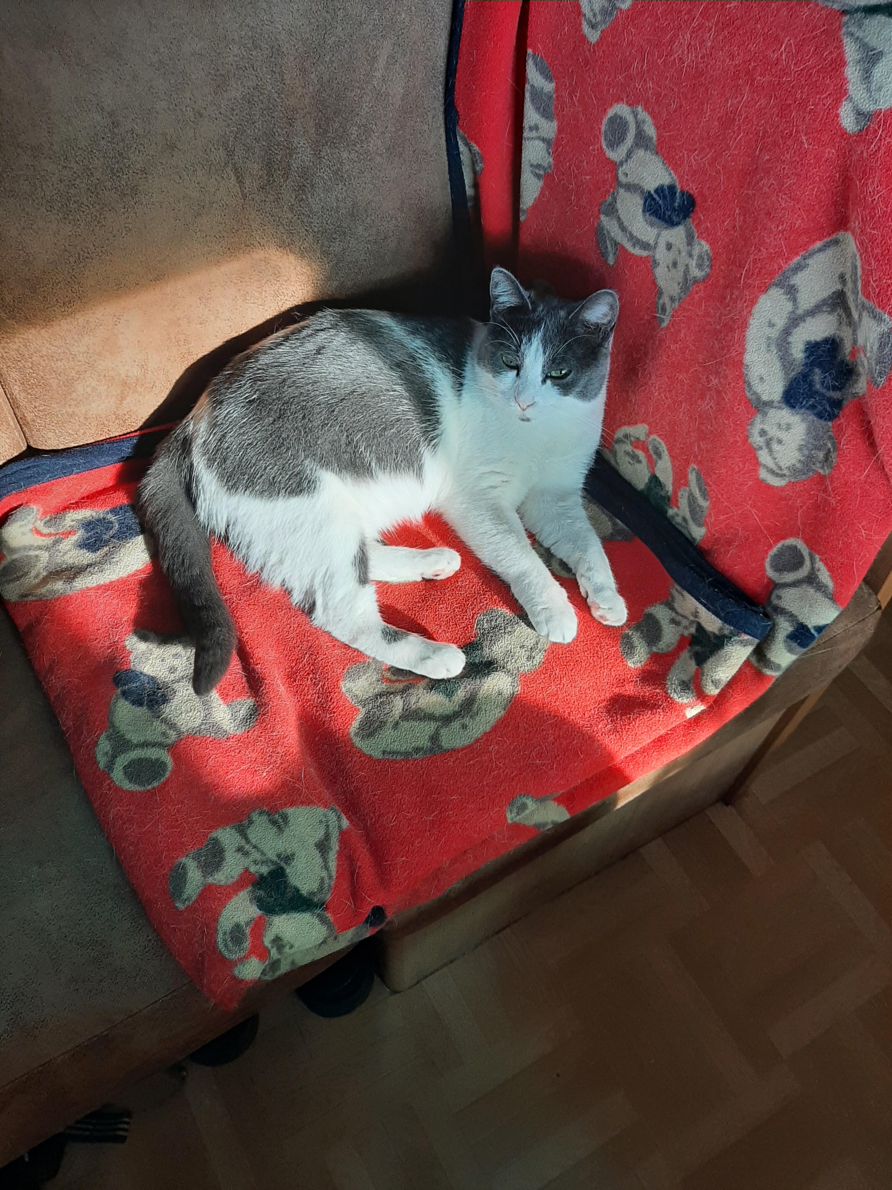 Lulu