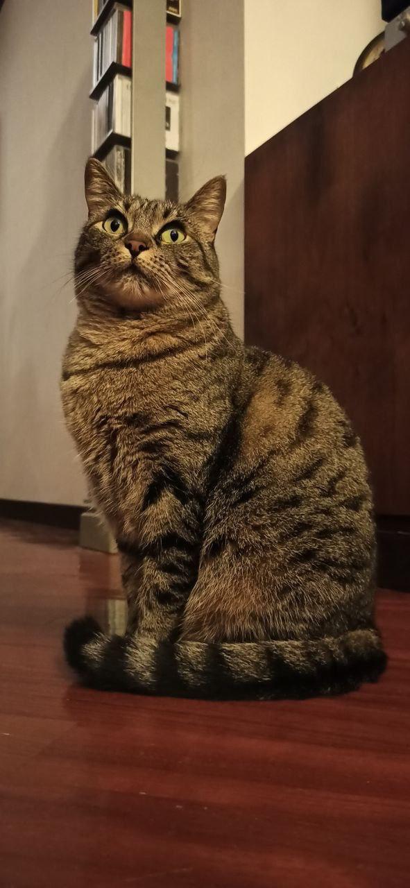 Frida