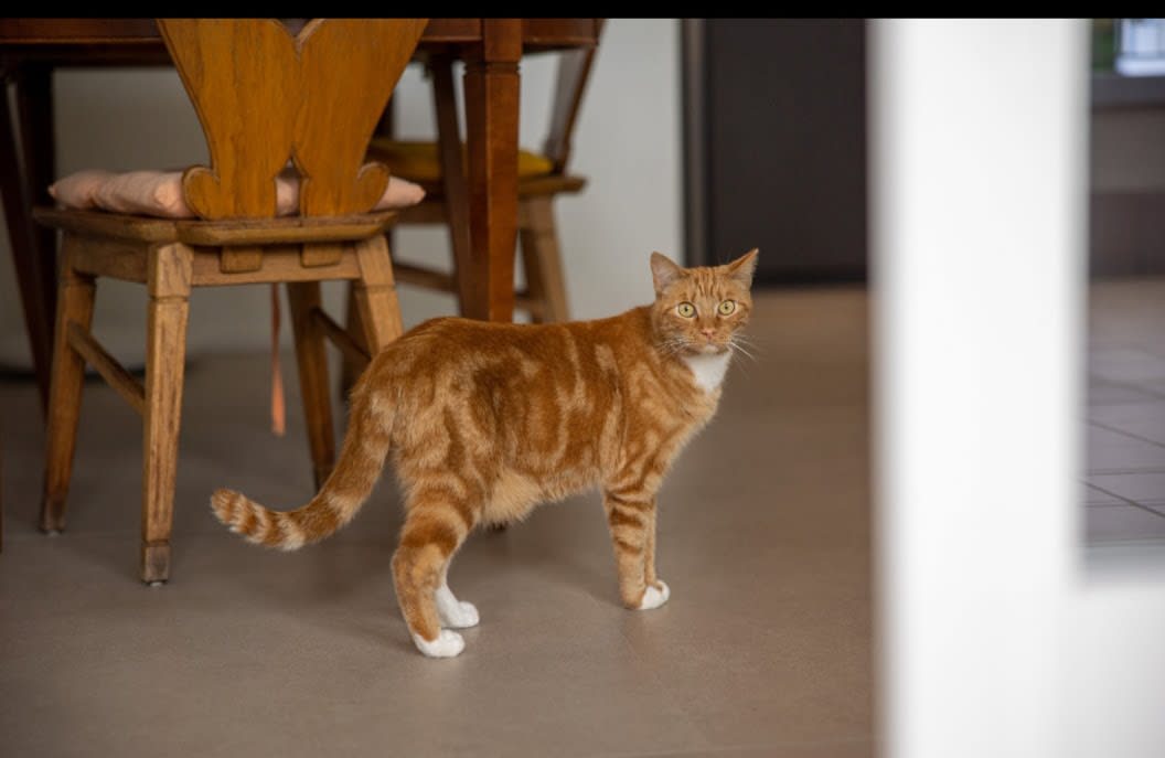 MICIO
