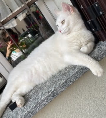 Ciro