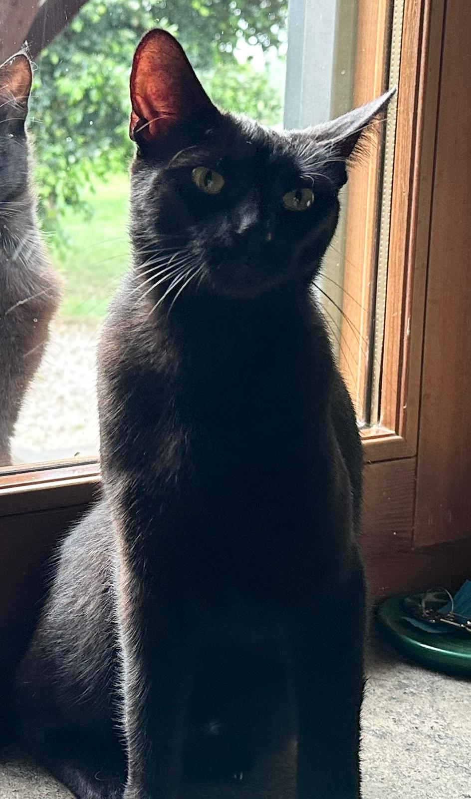 Malcolm