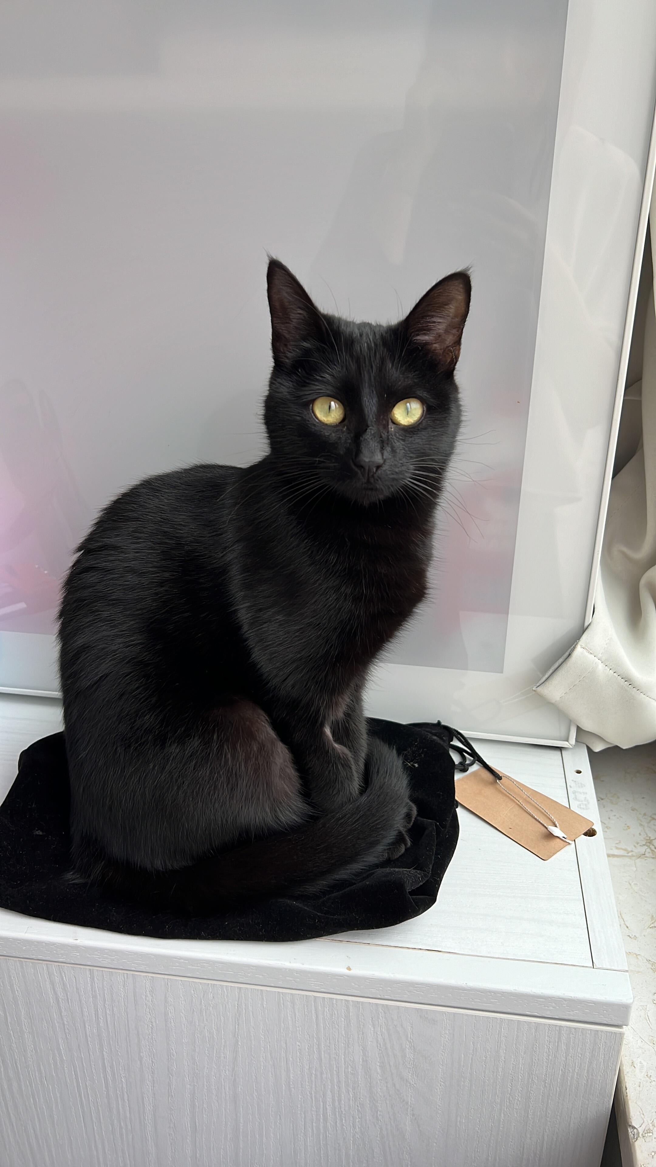 Luna