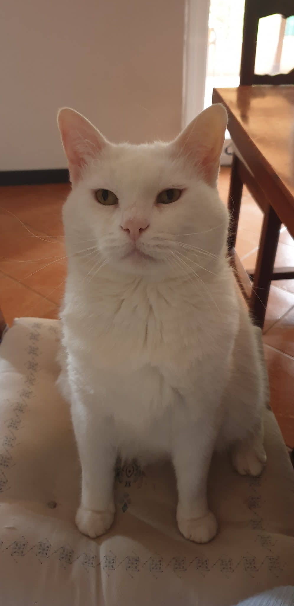 Olaf