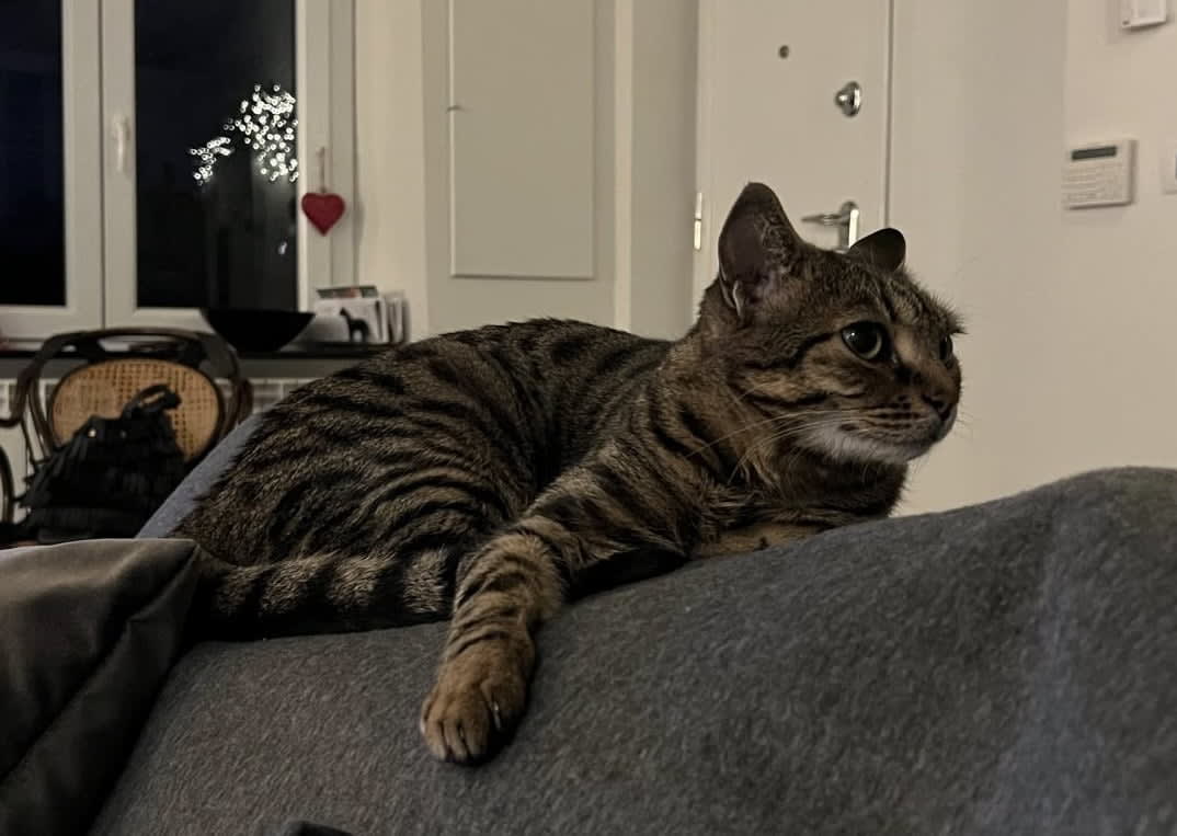 Luna