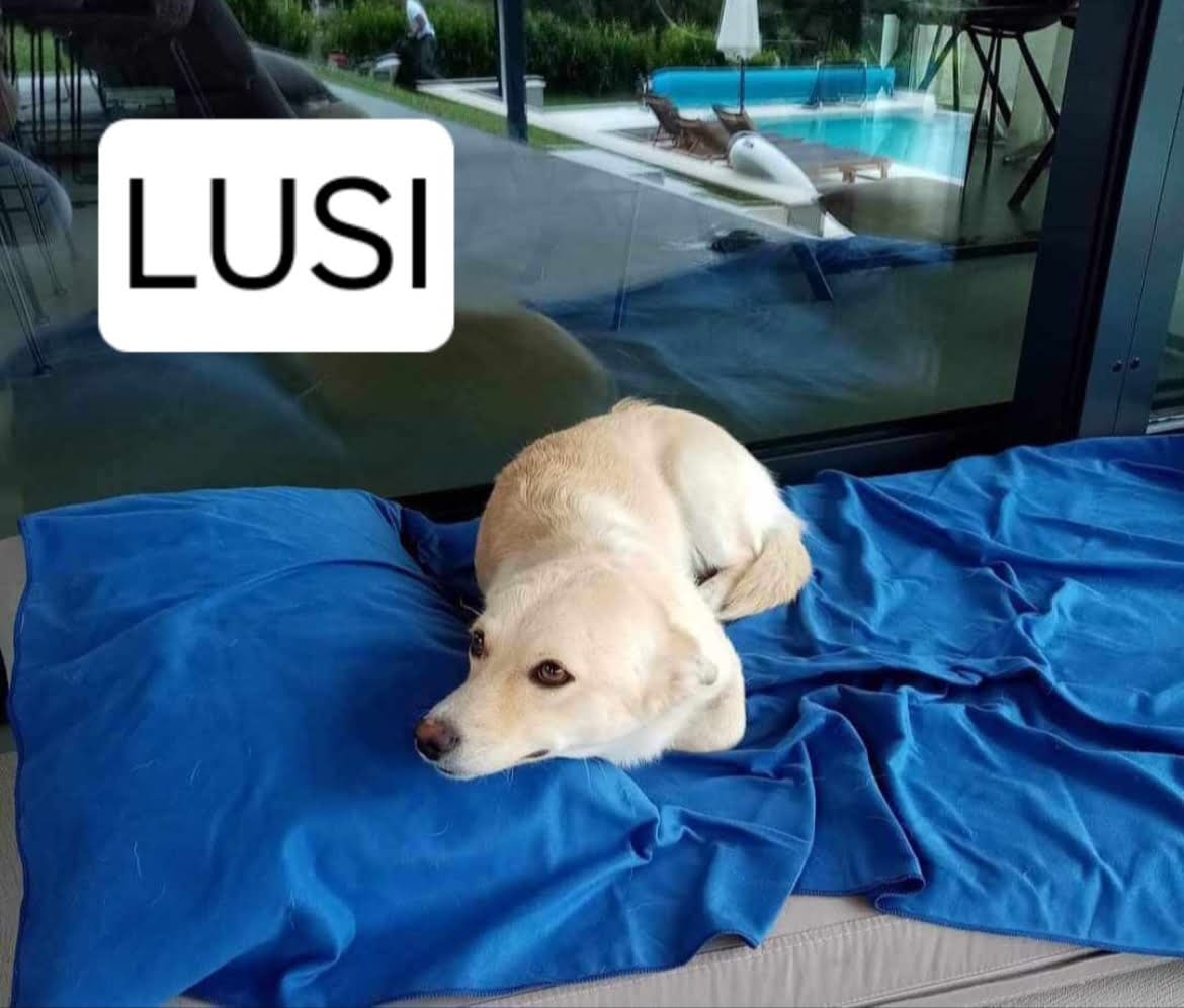 Lusi
