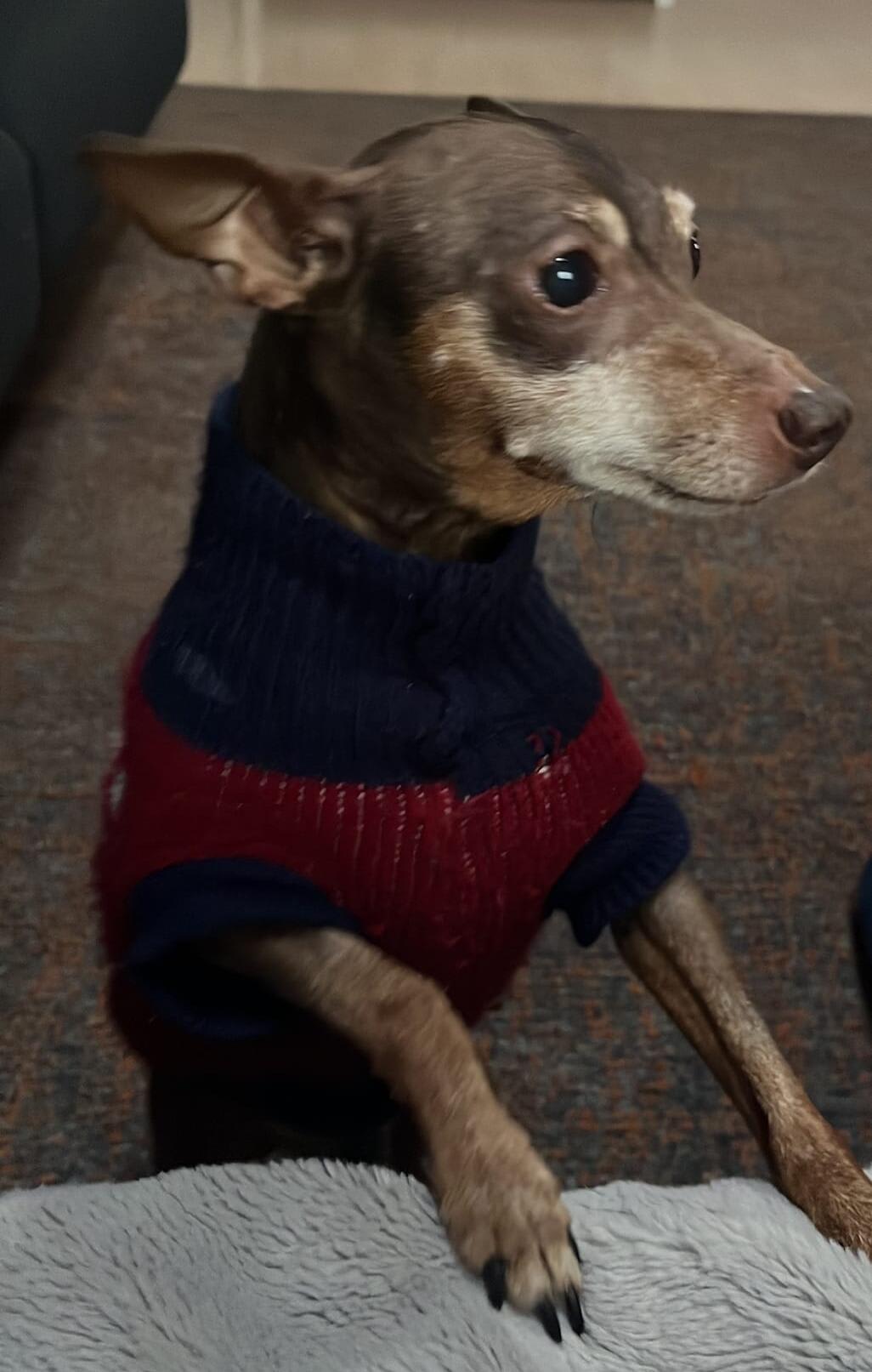 Max