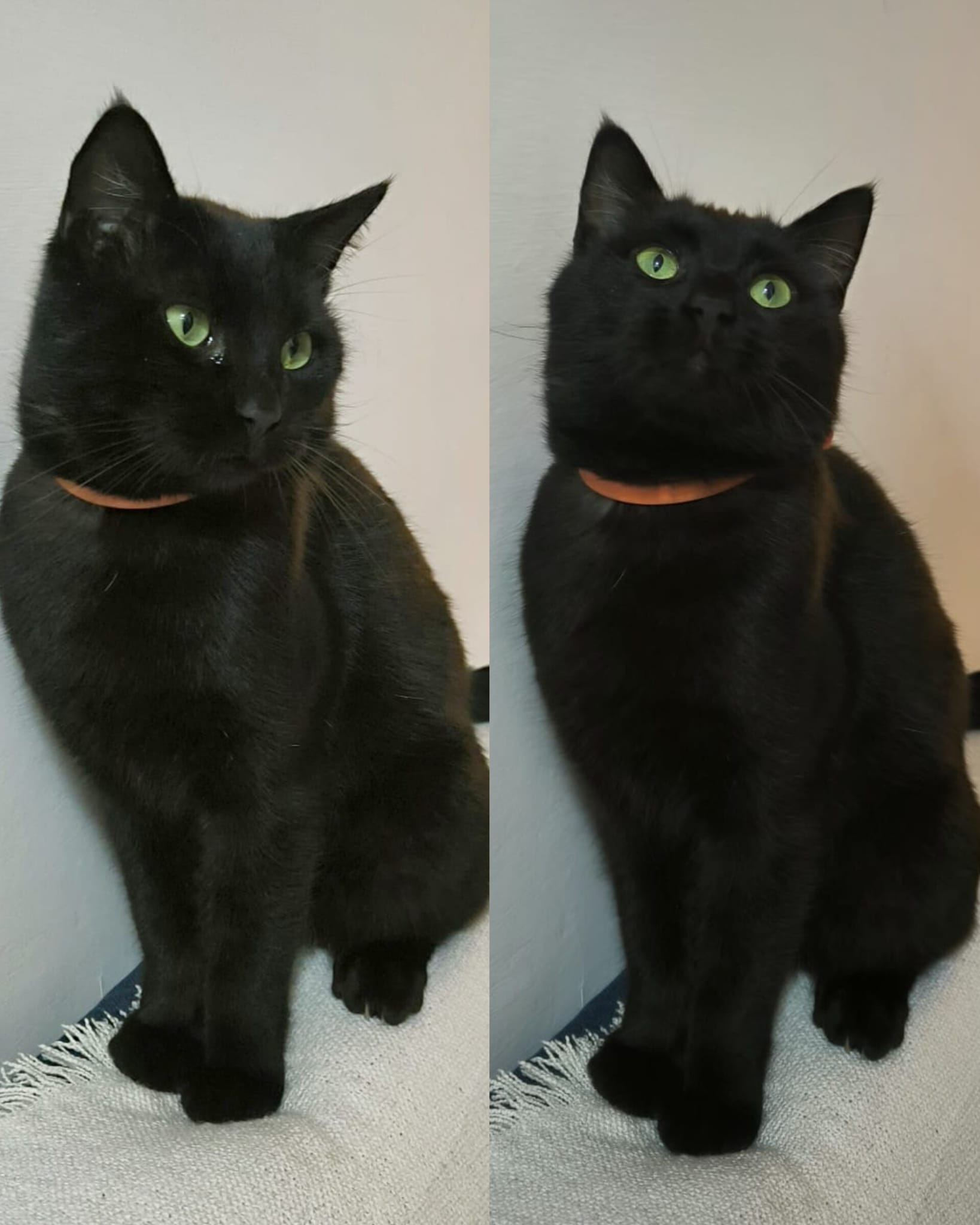 Balù