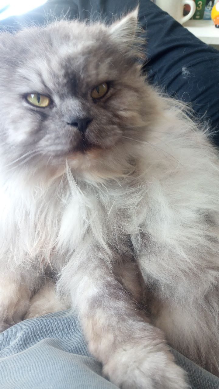 Lenny