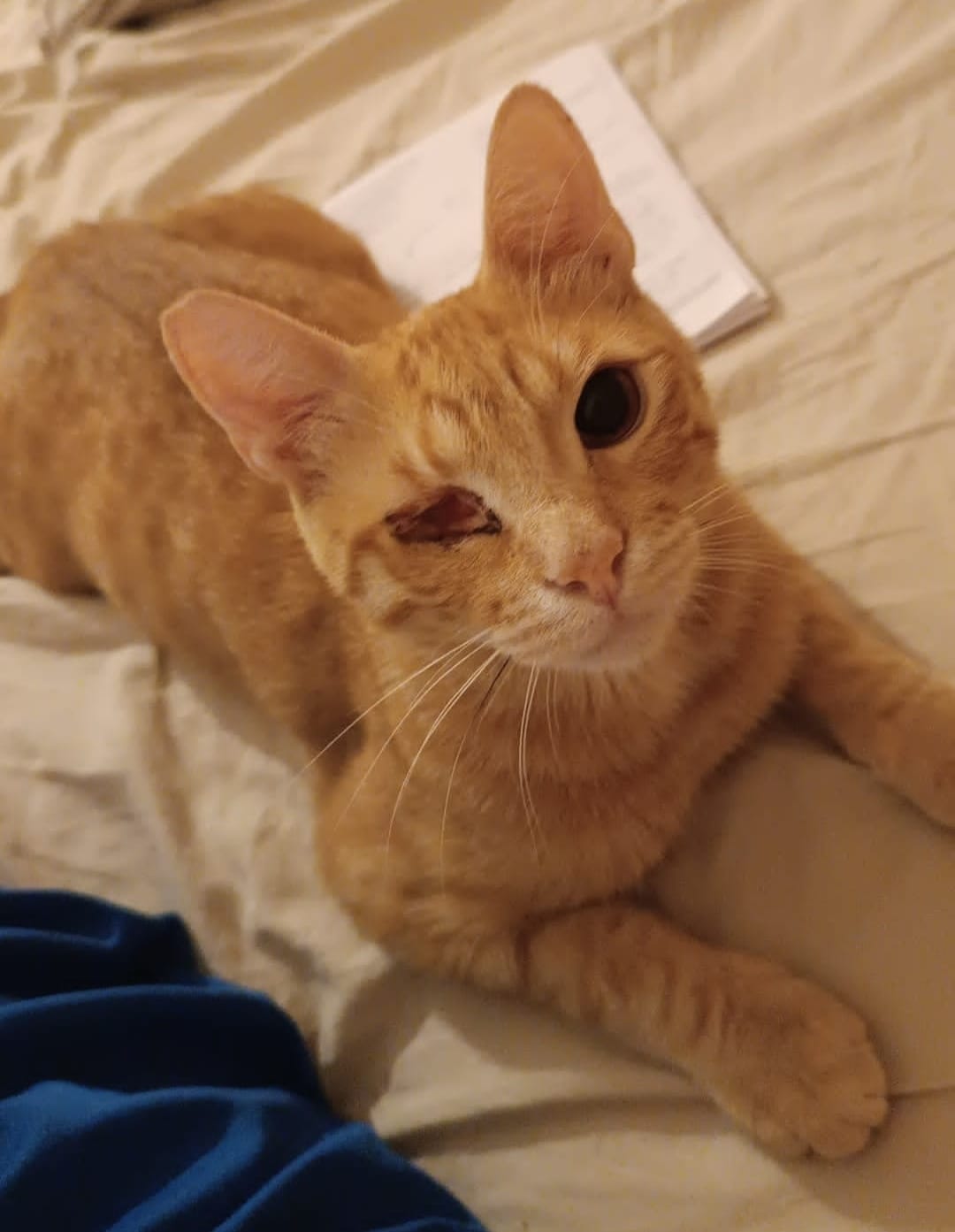 Sammy