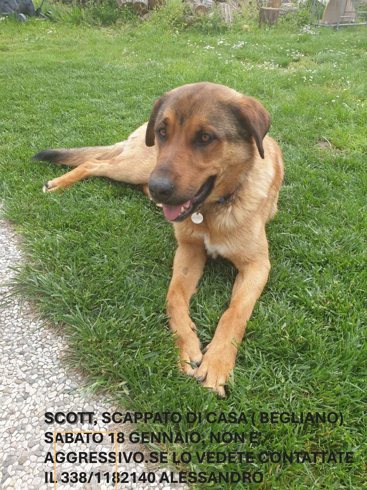 SCOTT