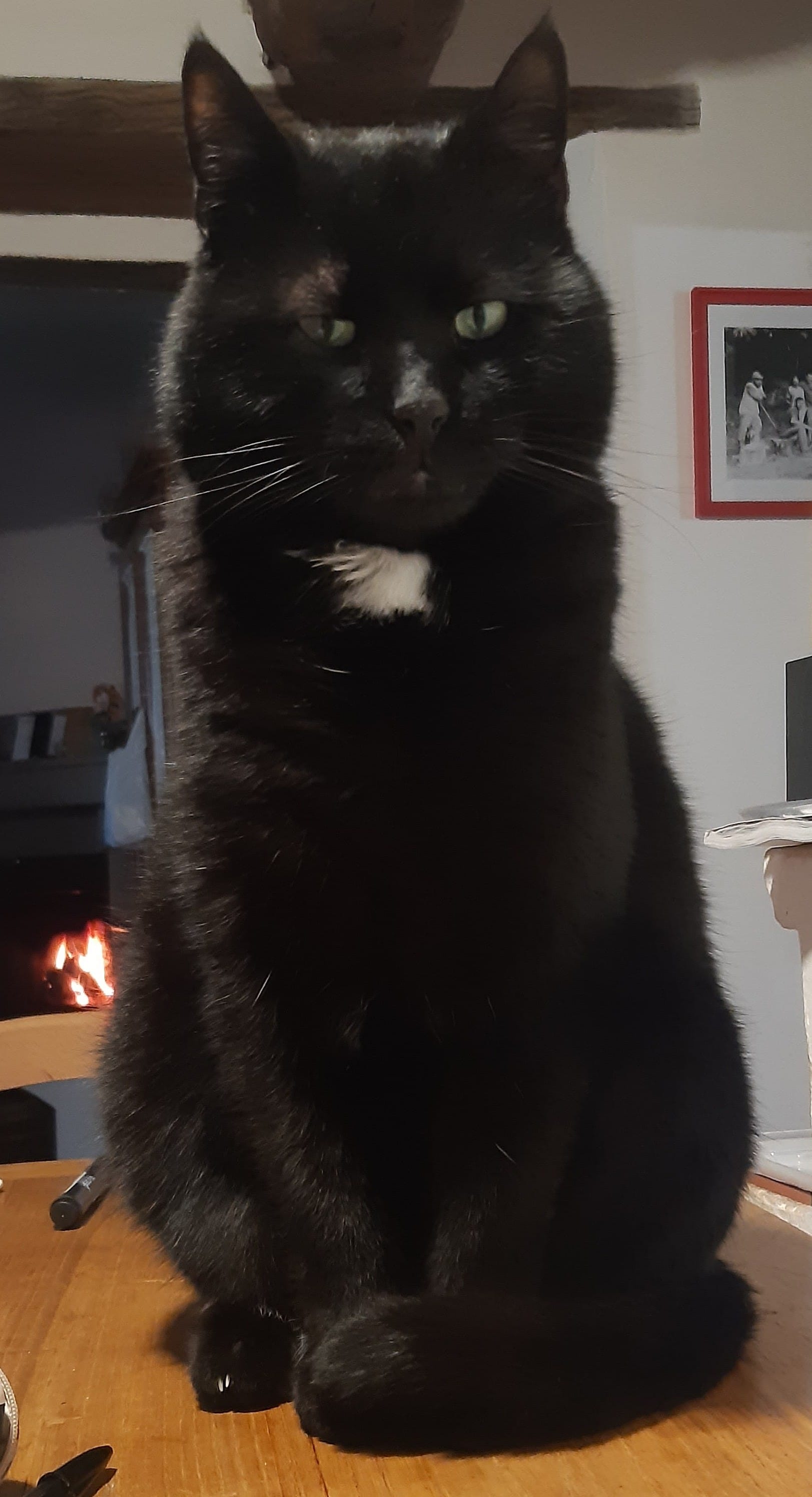 Chicco