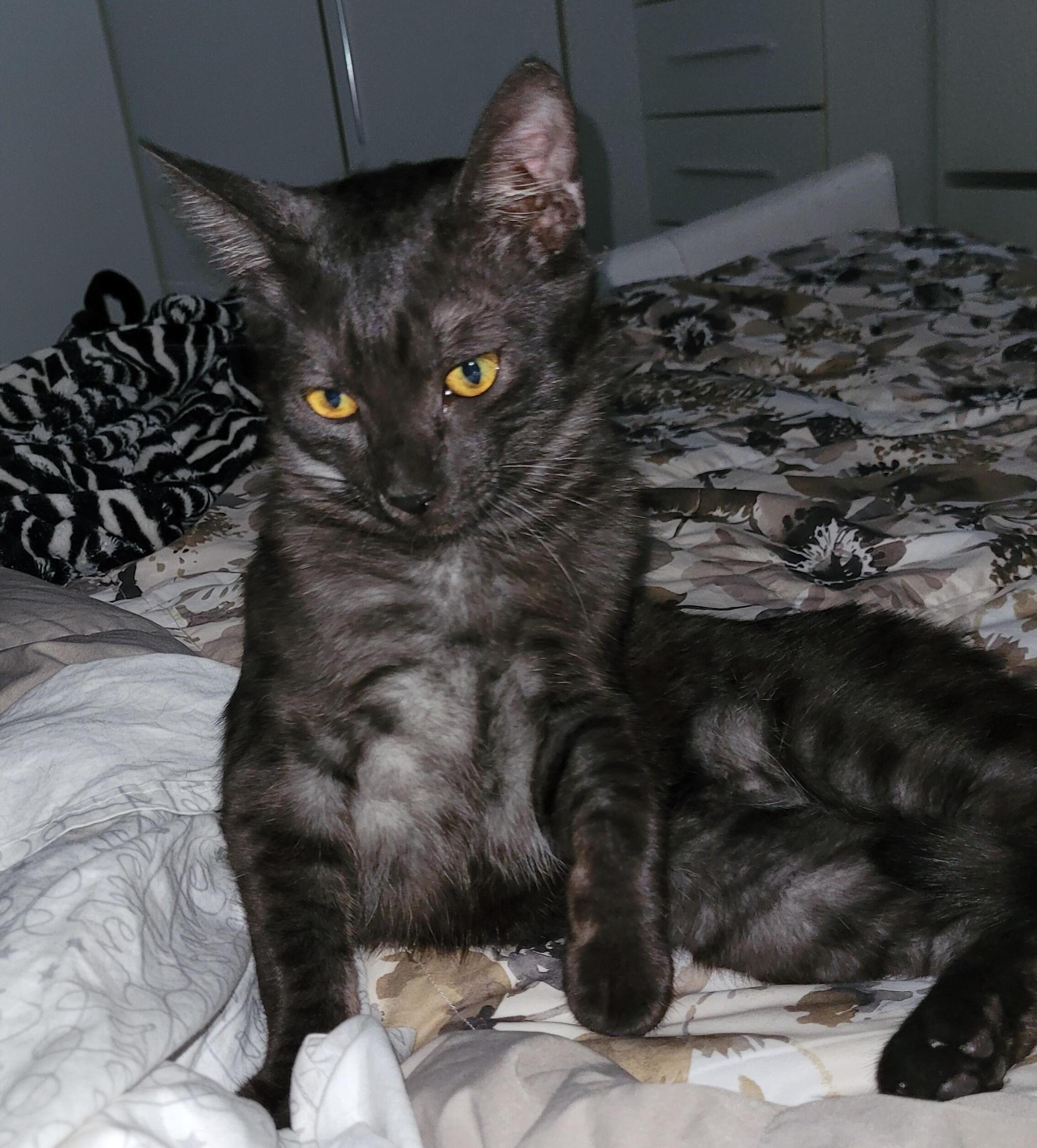 SALEM