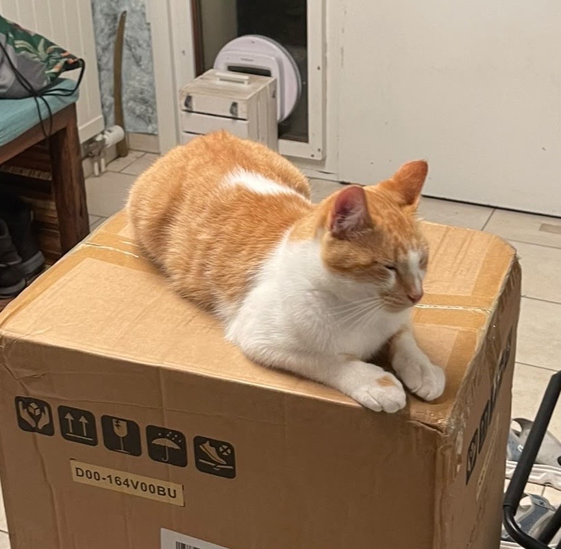 Felix