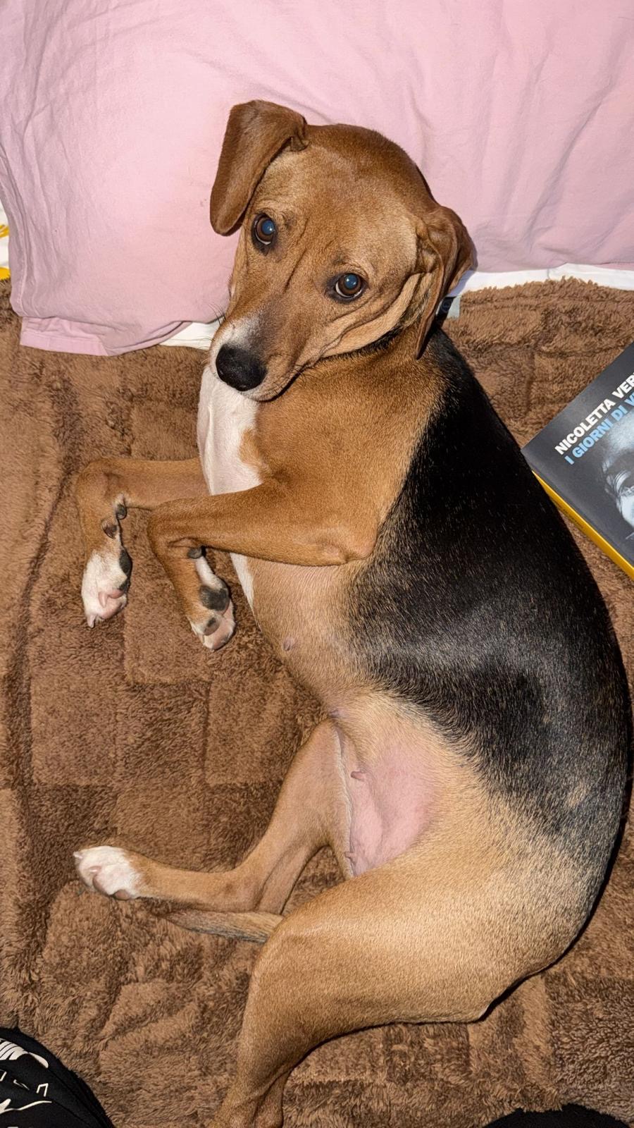 Greta