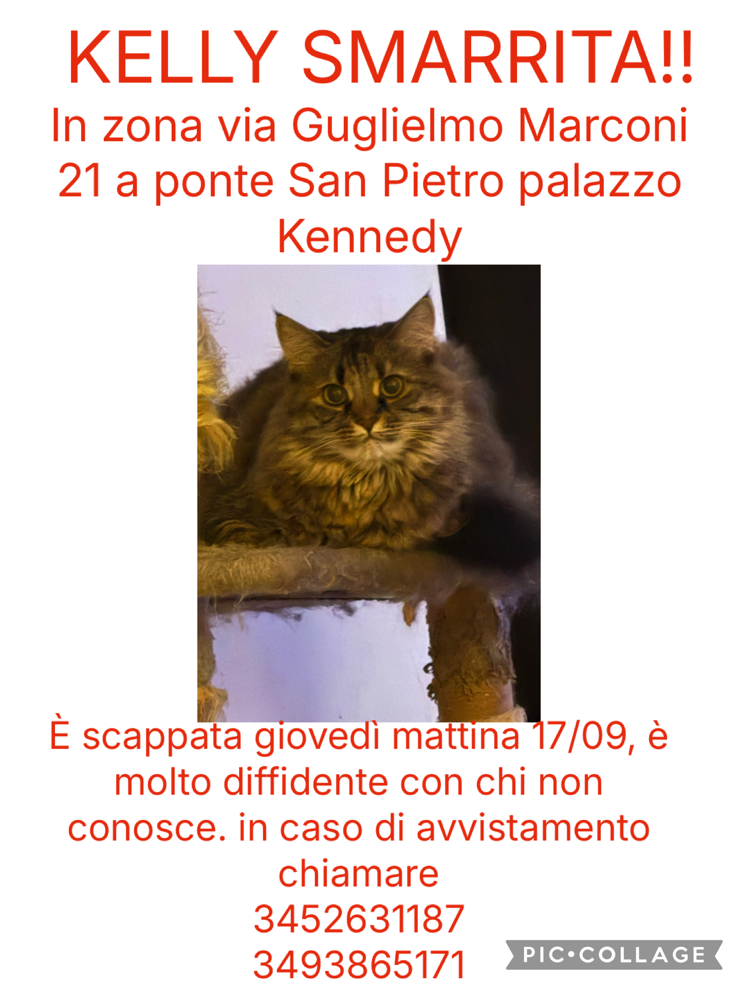 KELLY