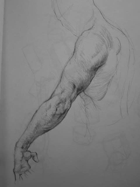 Arm Charcoal Studies by Adam Miconi