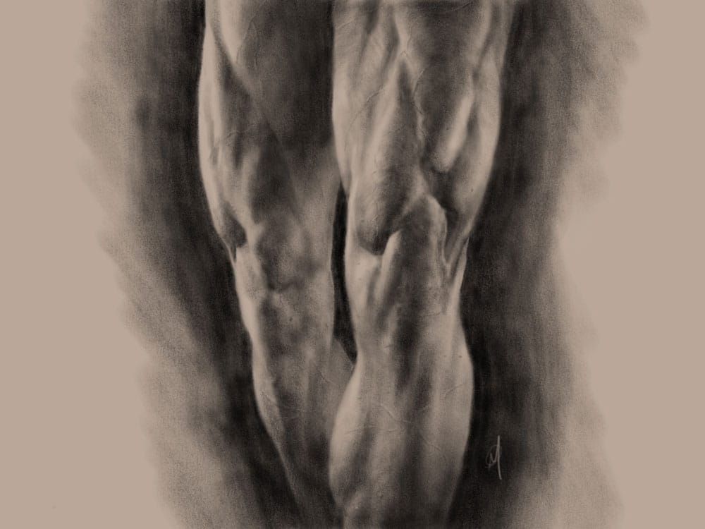 Calves Study in Digital Charcoal by Adam Miconi