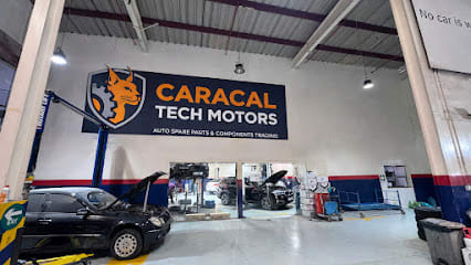 Caracaltech Motors LLC — photo 1 of 6