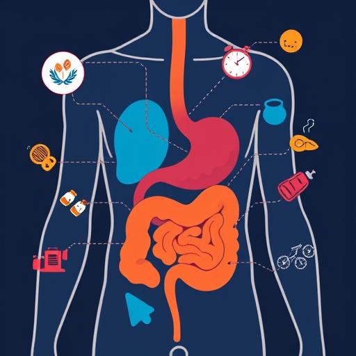 Почему желудок плохо переваривает: факторы, влияющие на пищеварение