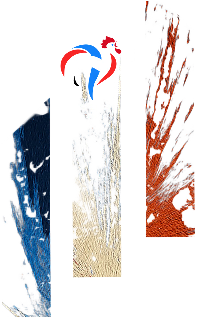 Fff Logo Remix Flag