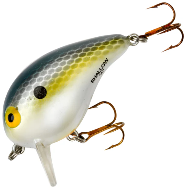 Foxy Shad