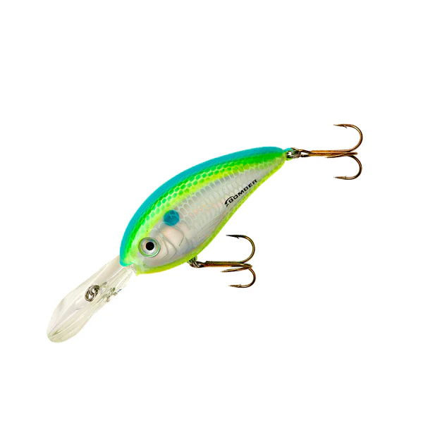 Citrus Shad