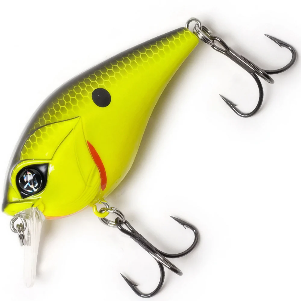 Chartreuse Black Back