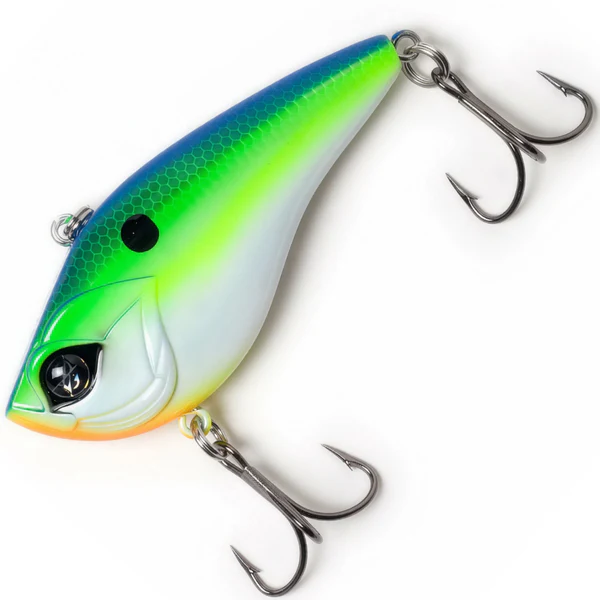 Citrus Shad