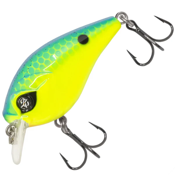 Chartreuse Blue Back