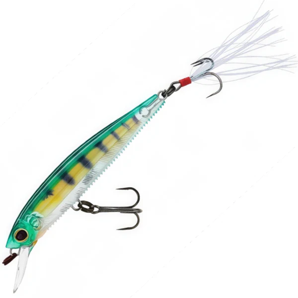  Real Perch