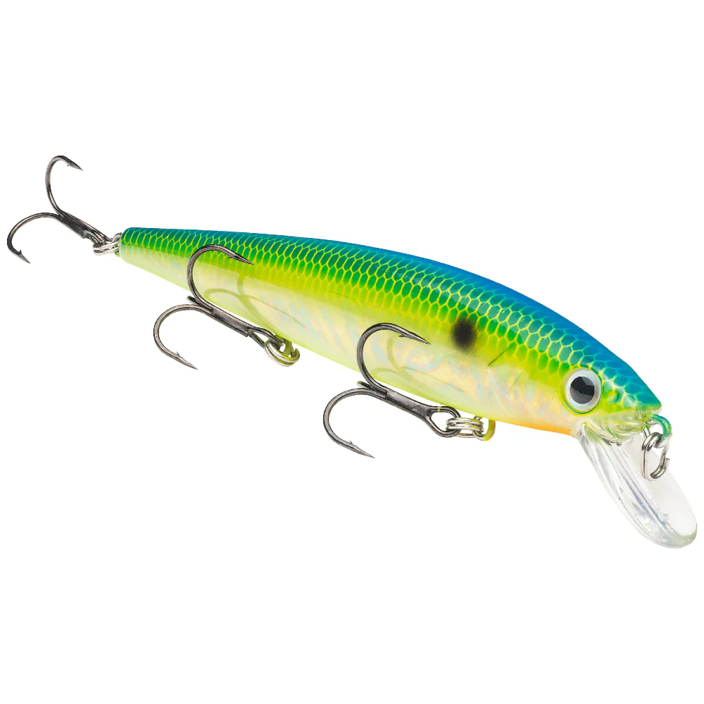  Citrus Shad