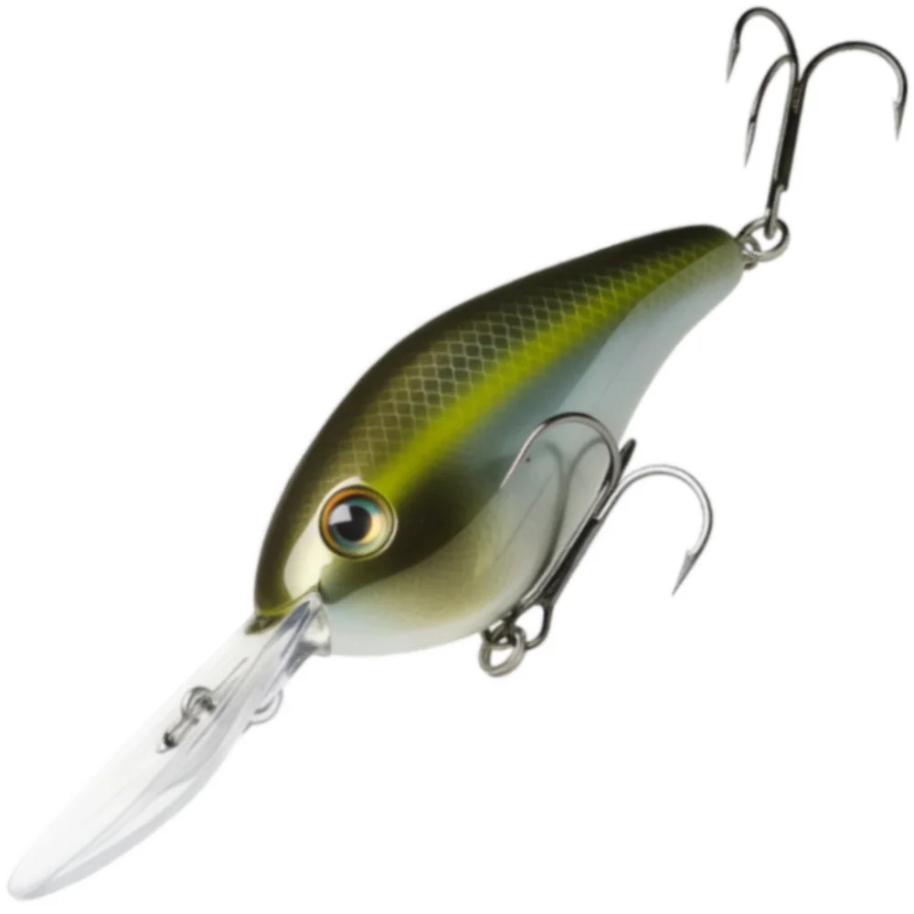  Summer Sexy Shad