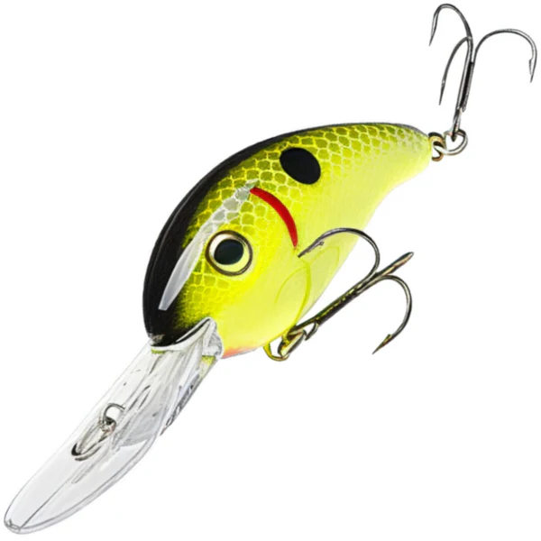 Chartreuse Black Back