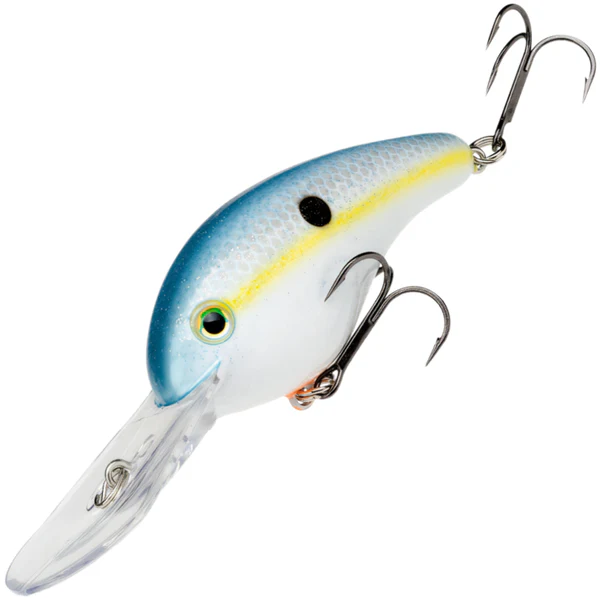  Sexy Shad