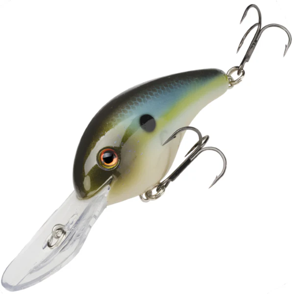  Summer Sexy Shad