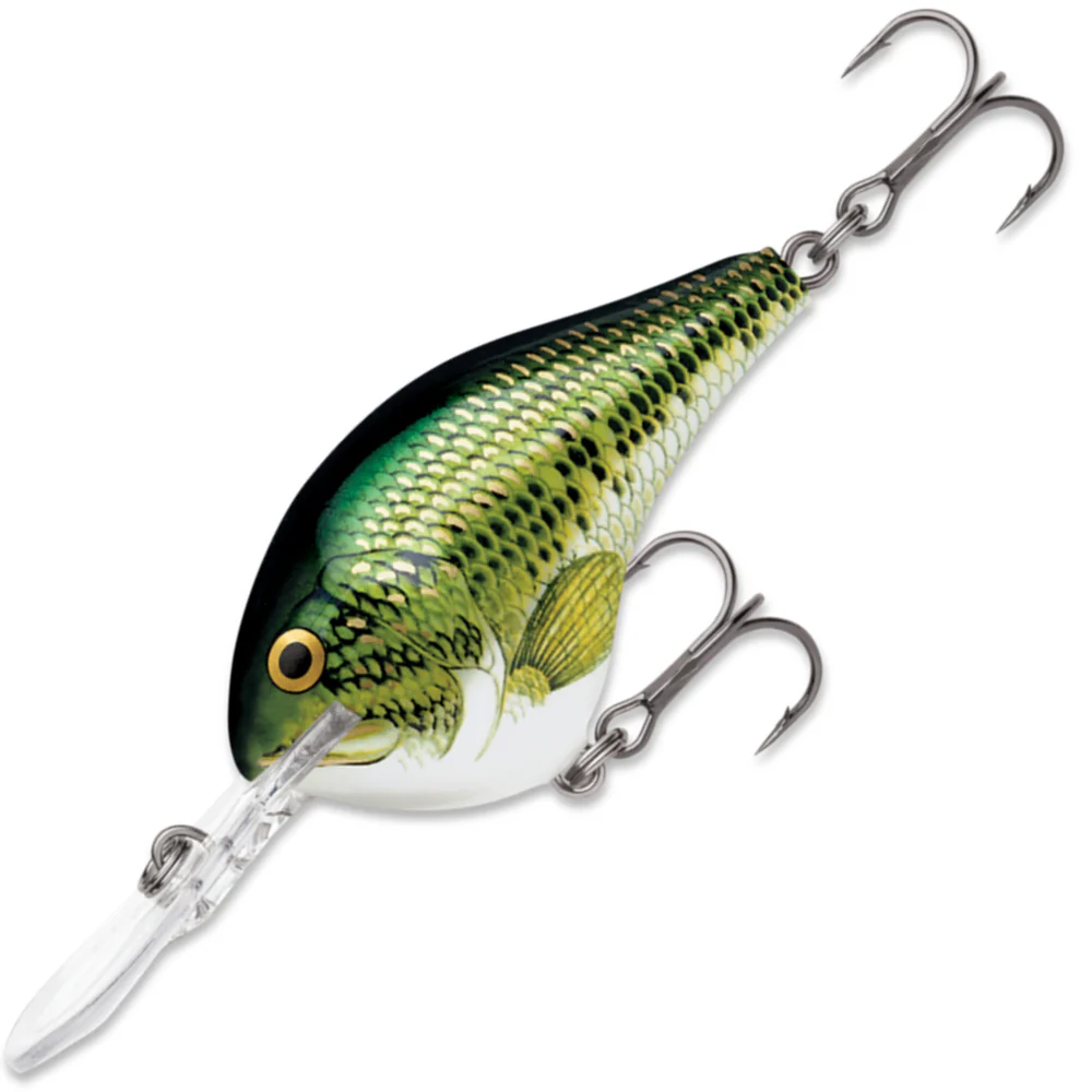 Rapala DT Dives To 16 ft dt16