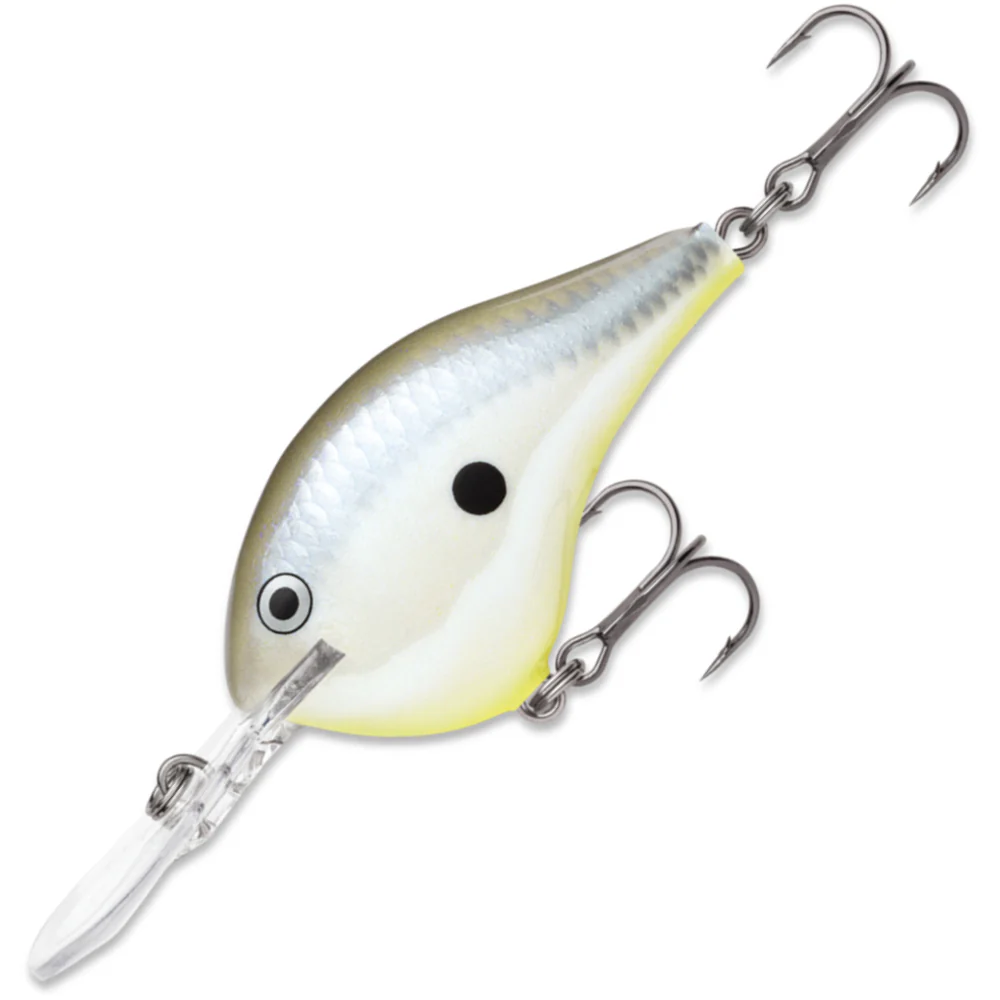  Disco Shad