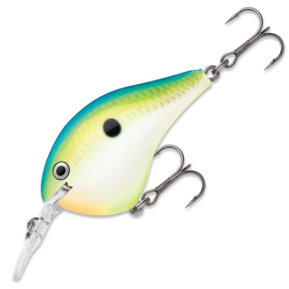 Citrus Shad