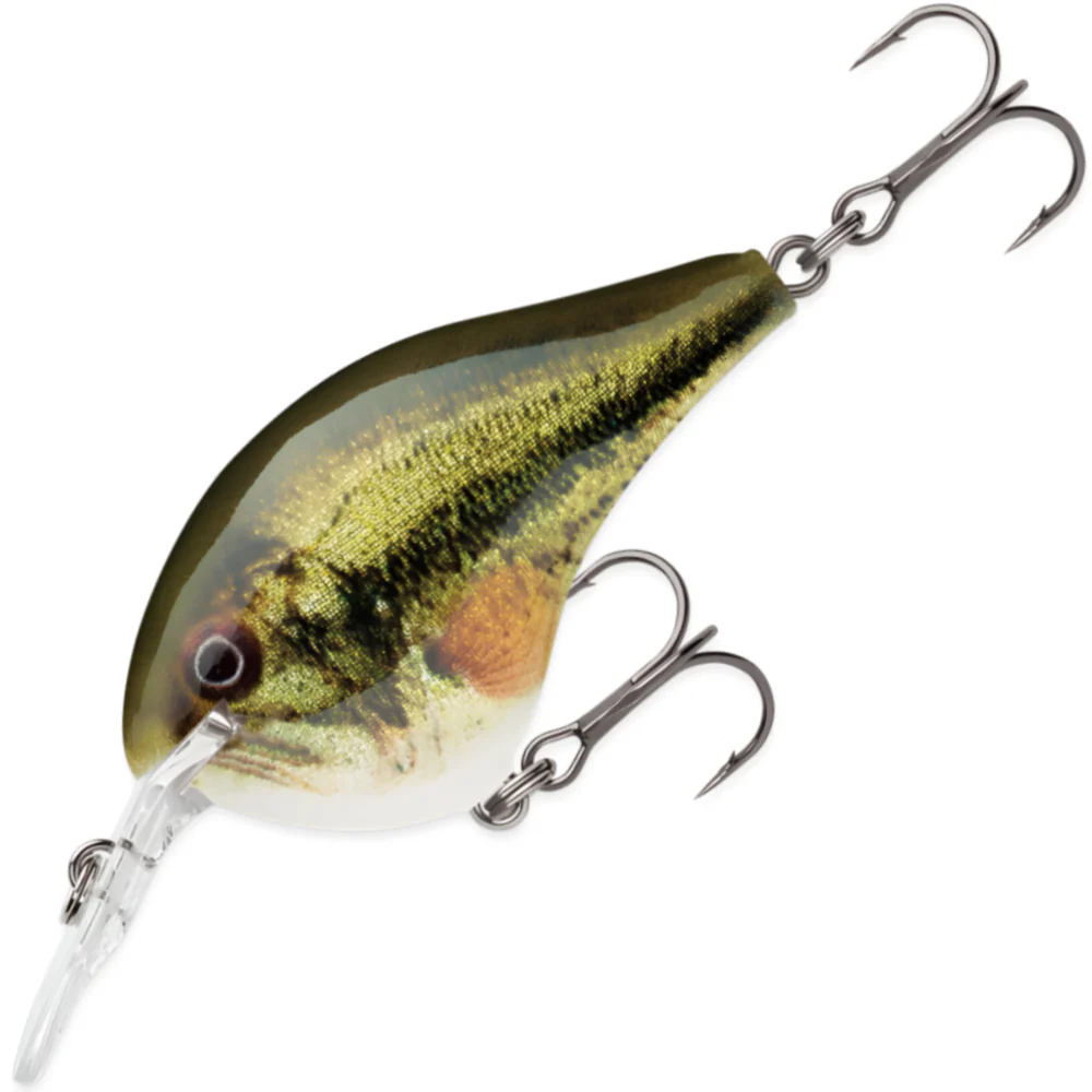  Live Largemouth Bass