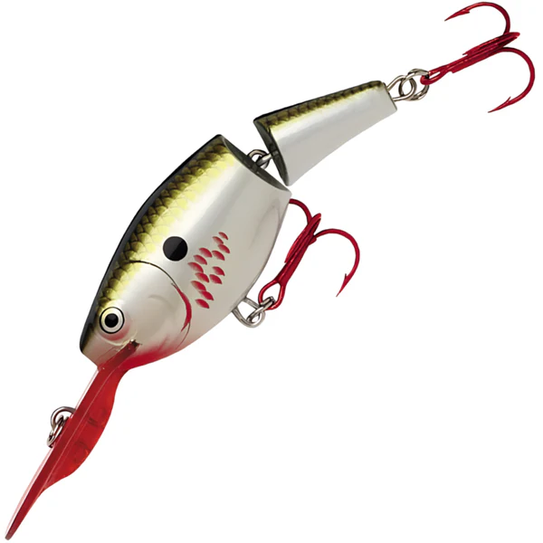 Bleeding Olive Flash